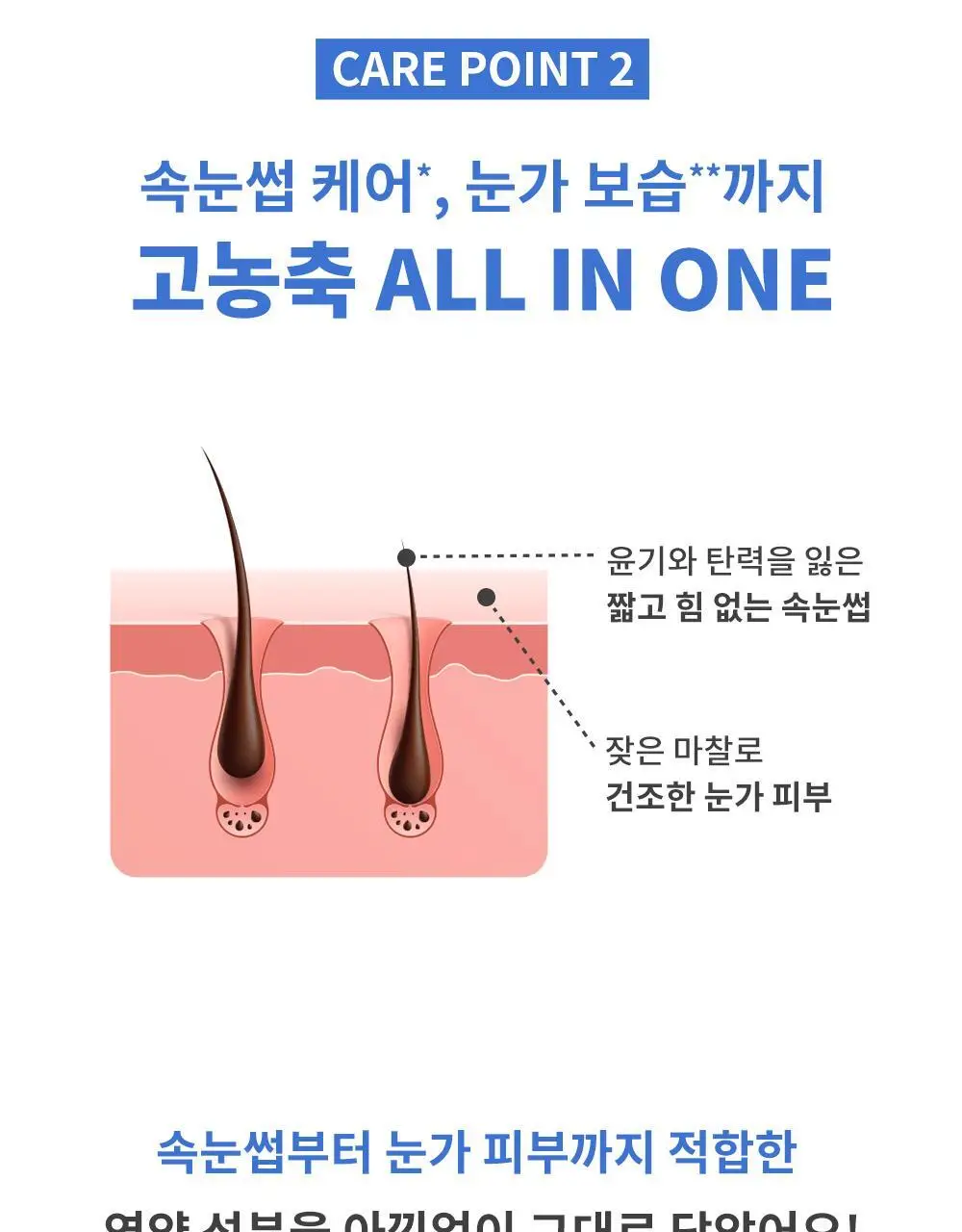 [속눈썹영양제/기획] 키스미 히로인메이크 아이래시 세럼 EX (단품/기획) 상세페이지 16